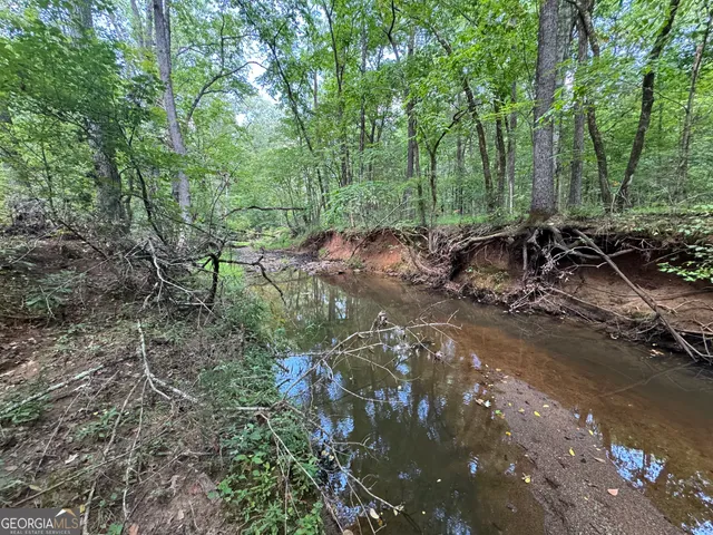 a view of a forest filled with trees
