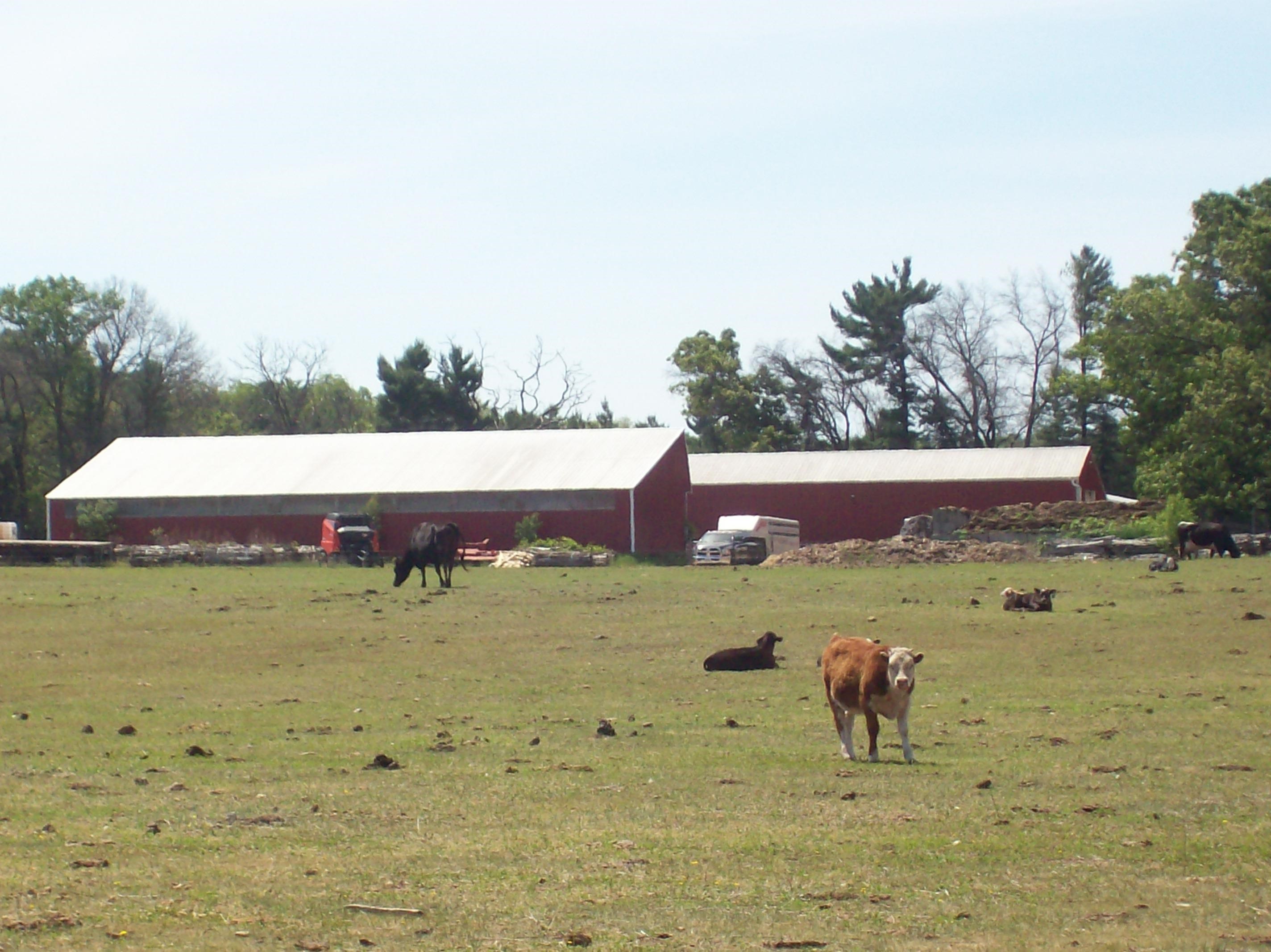 N6702 12th Road Montello, WI 53949 - Photo 22 of 79
