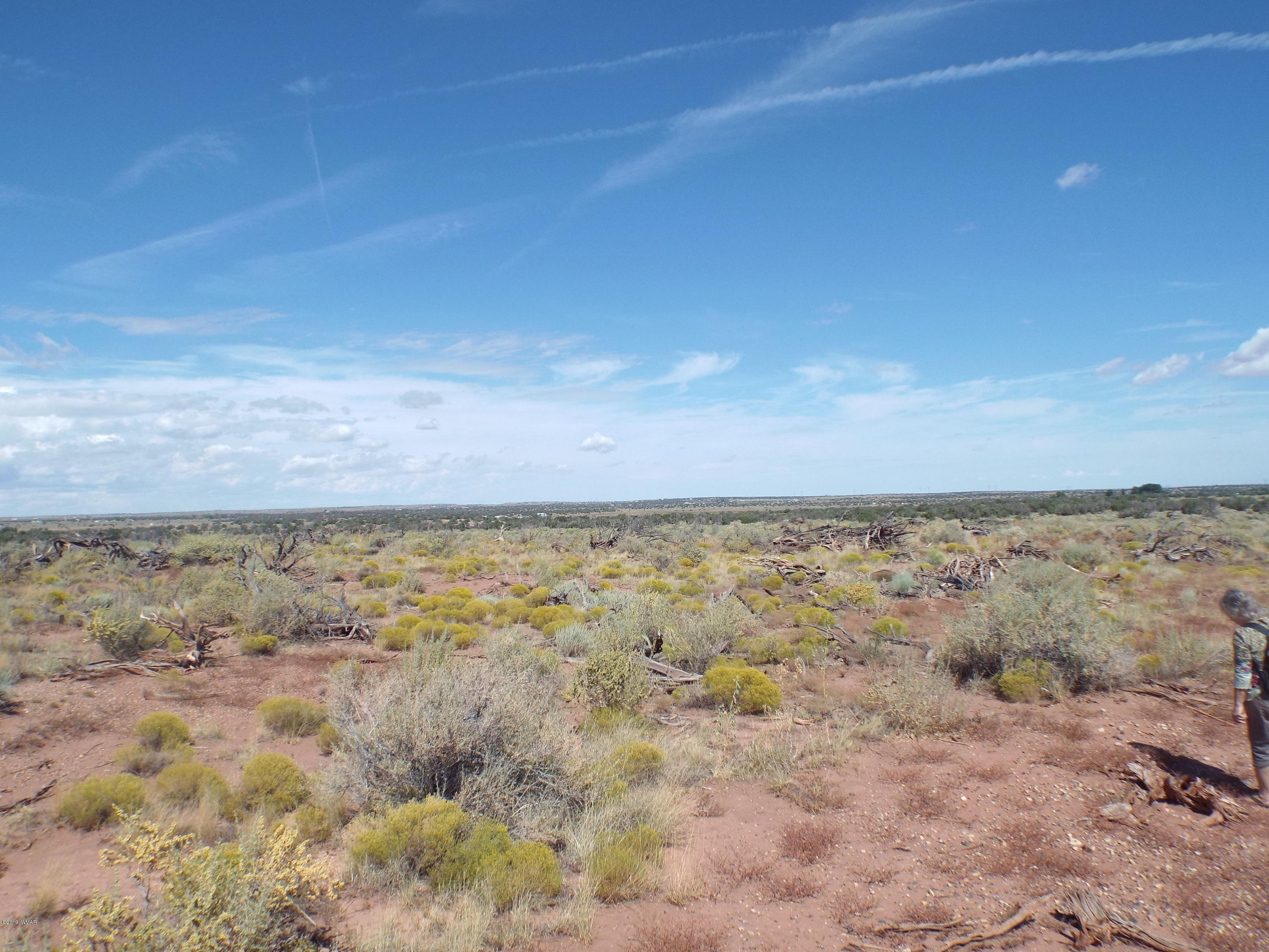 4918 Horse Shoe Road Snowflake, AZ 85937 - Photo 3 of 4