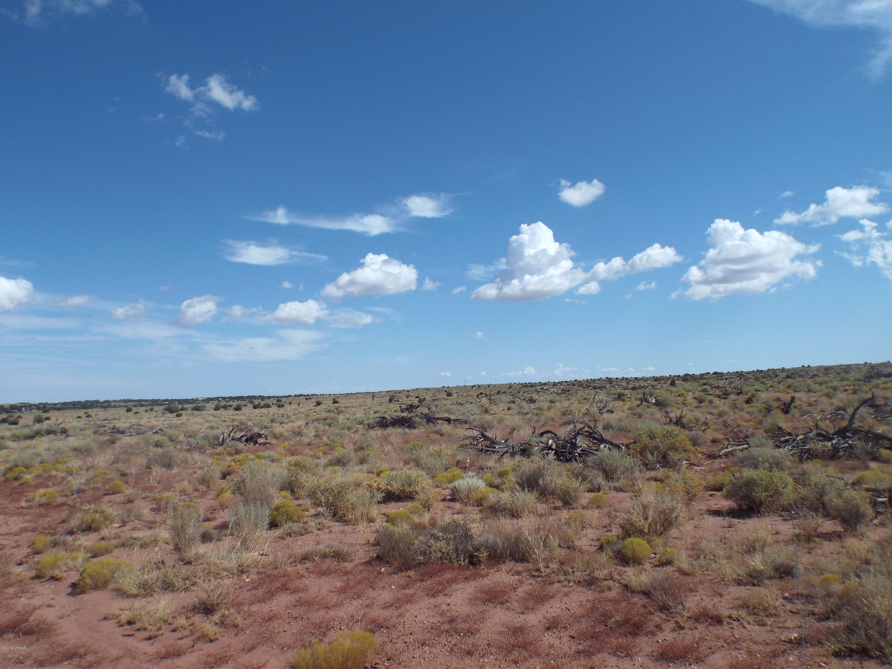 4918 Horse Shoe Road Snowflake, AZ 85937 - Photo 4 of 4