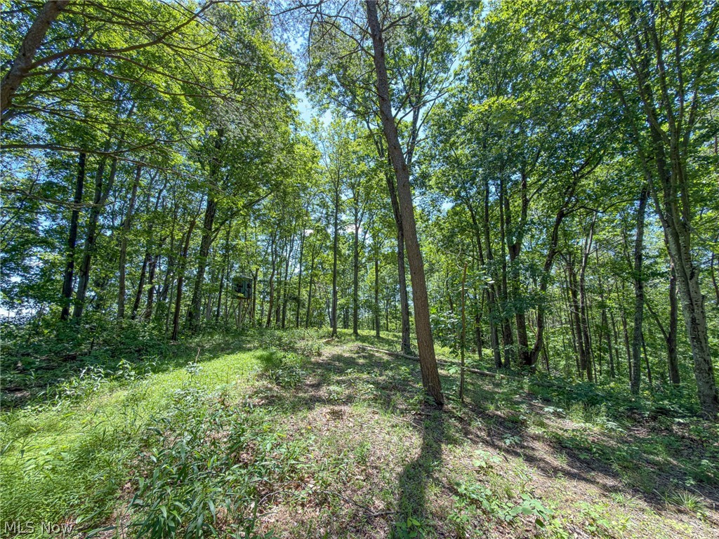 0 Twp Road Marietta, OH 45750 - Photo 37 of 50