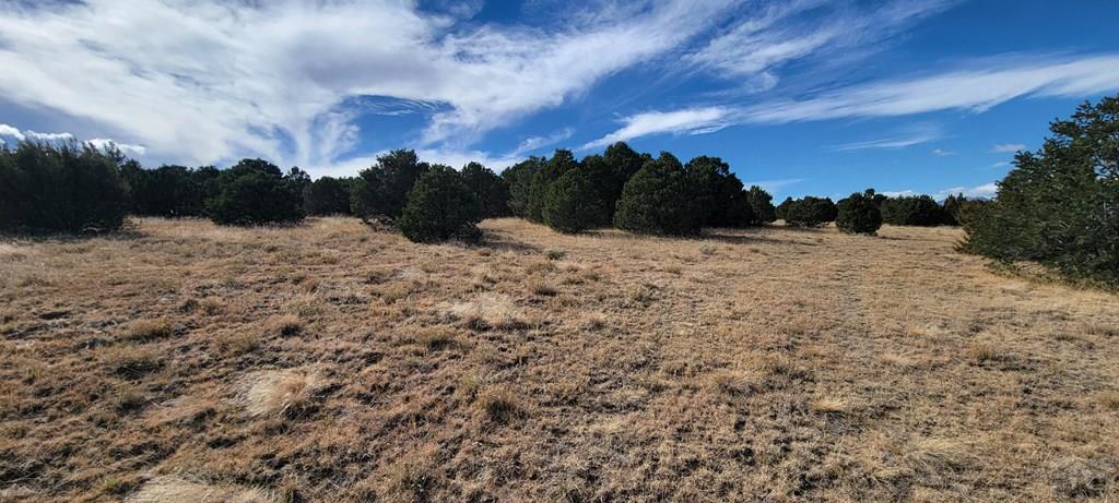 Lot 34 Silver Spur Road Walsenburg, CO 81089 - Photo 14 of 43