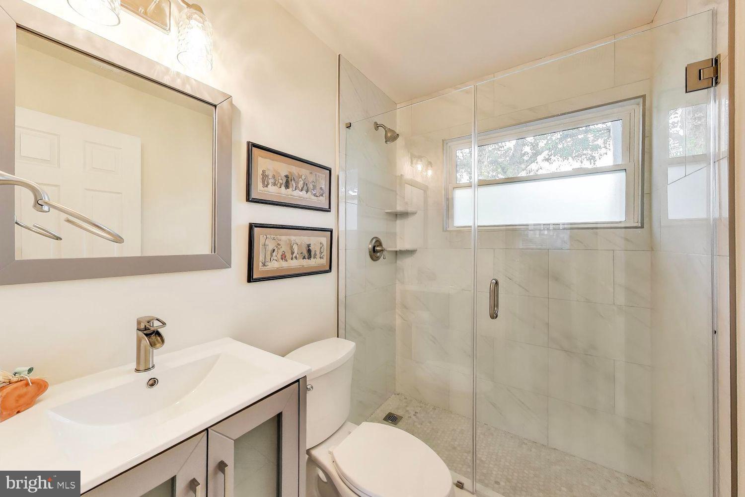 5408 Danville Street Springfield, VA 22151 - Photo 19 of 29 a bathroom with a sink a toilet and shower