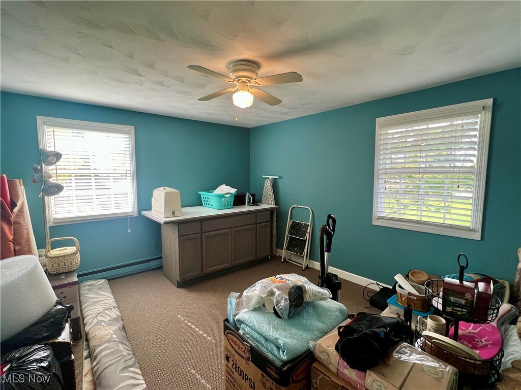446 Annis Road Amherst, OH 44001 - Photo 18 of 39 Carpeted bedroom with a ceiling fan, and multiple windows