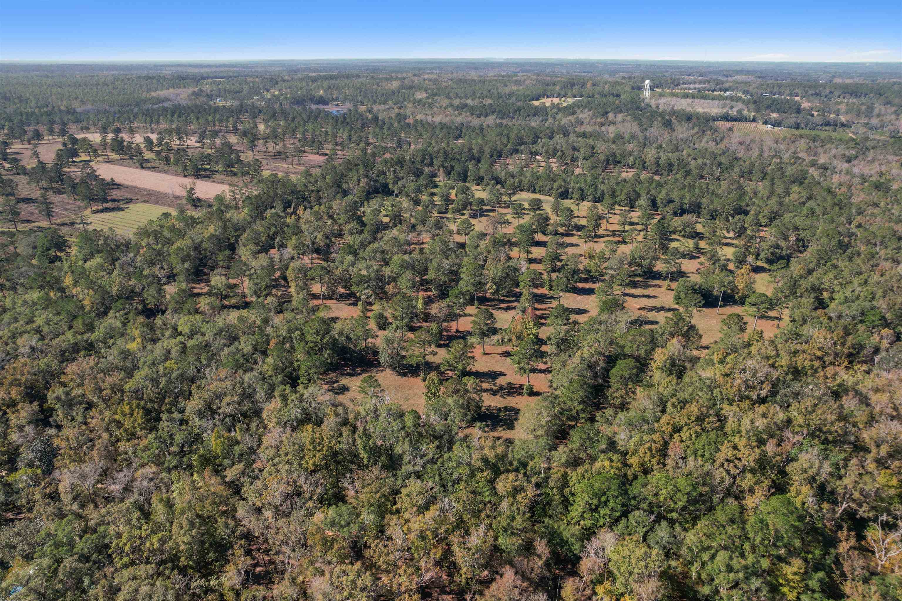 Lot 4 Watermill Road Monticello, FL 32344 - Photo 5 of 19 Gallery Image 5