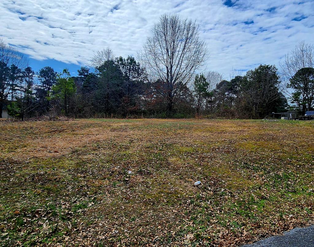 0 Clark Loop Northeast Resaca, GA 30735 - Photo 1 of 1 Main View
