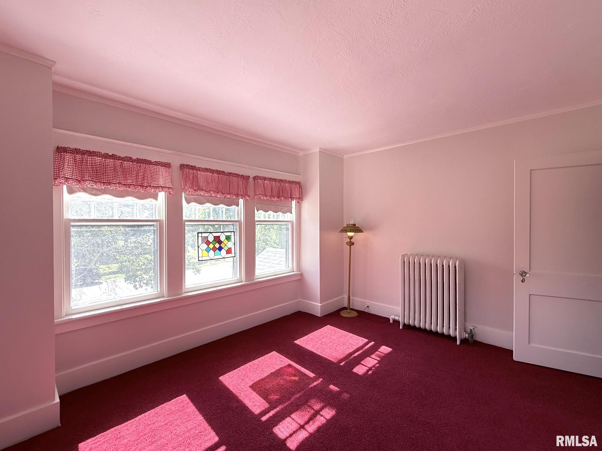 301 North Main Street Alexis, IL 61412 - Photo 81 of 100
