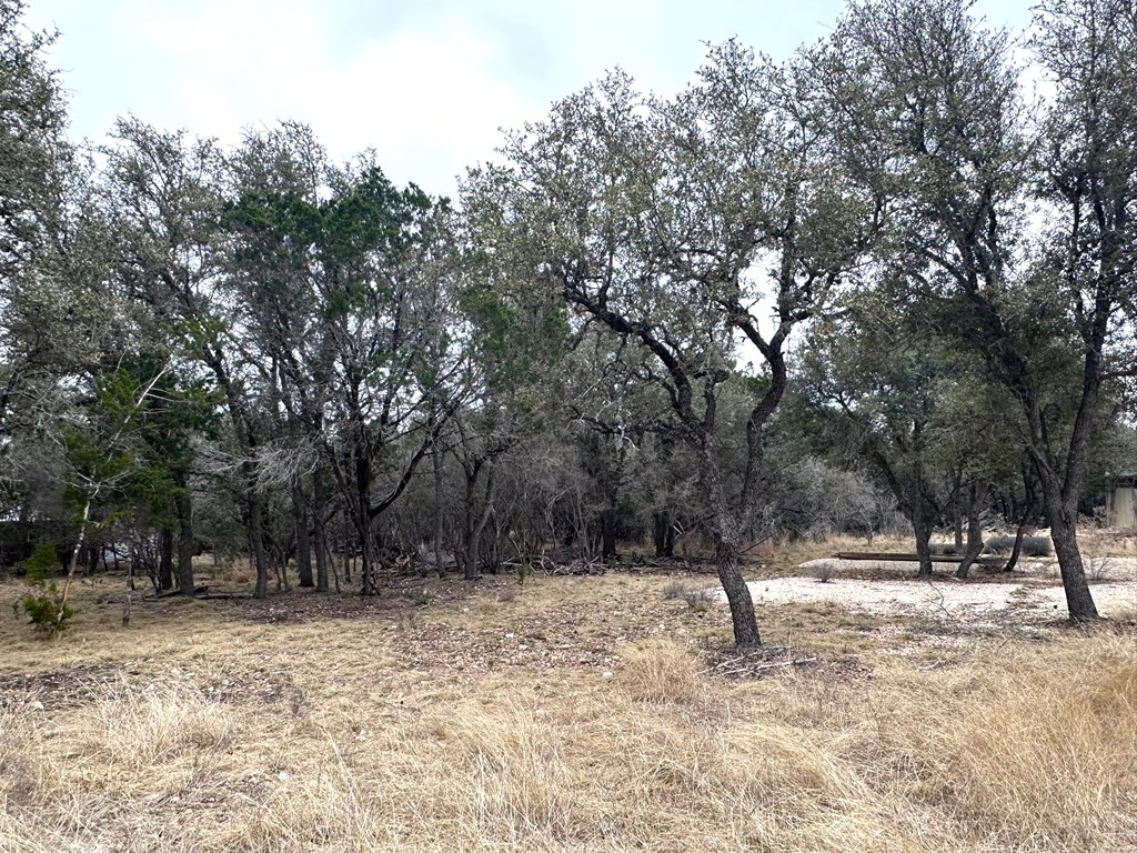 557 Squirrel Bend Uvalde, TX 78801 - Photo 19 of 30
