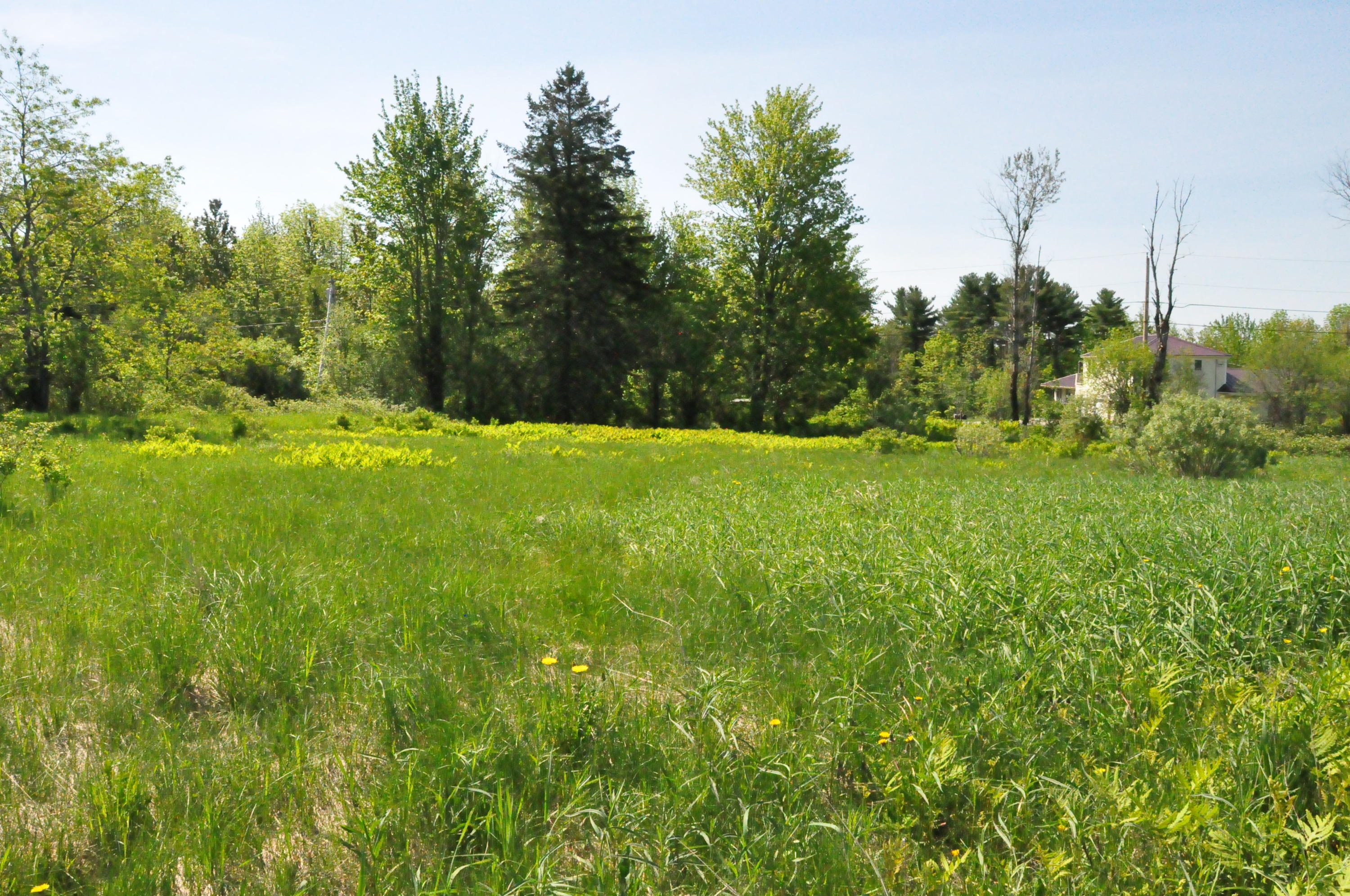 20 Meadow Road Winterport, ME 04496 - Photo 1 of 6 Hartt Meadow RD (1)