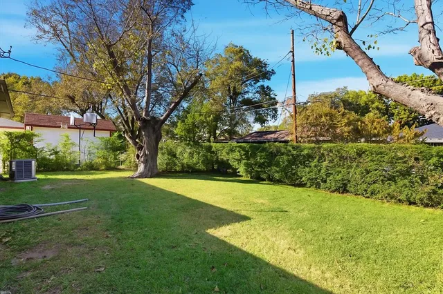 a view of a trees with a yard