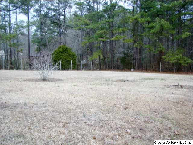 73 Smith Avenue Ohatchee, AL 36271 - Photo 8 of 12