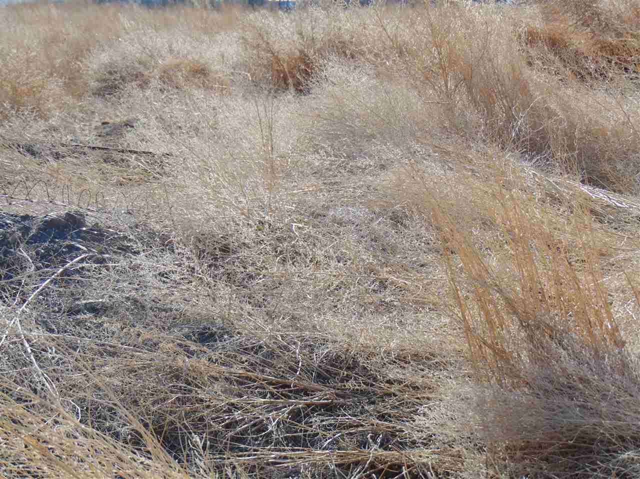 19 19 1/2 Road Fruita, CO 81521 - Photo 3 of 8 a view of a dry yard with wooden fence