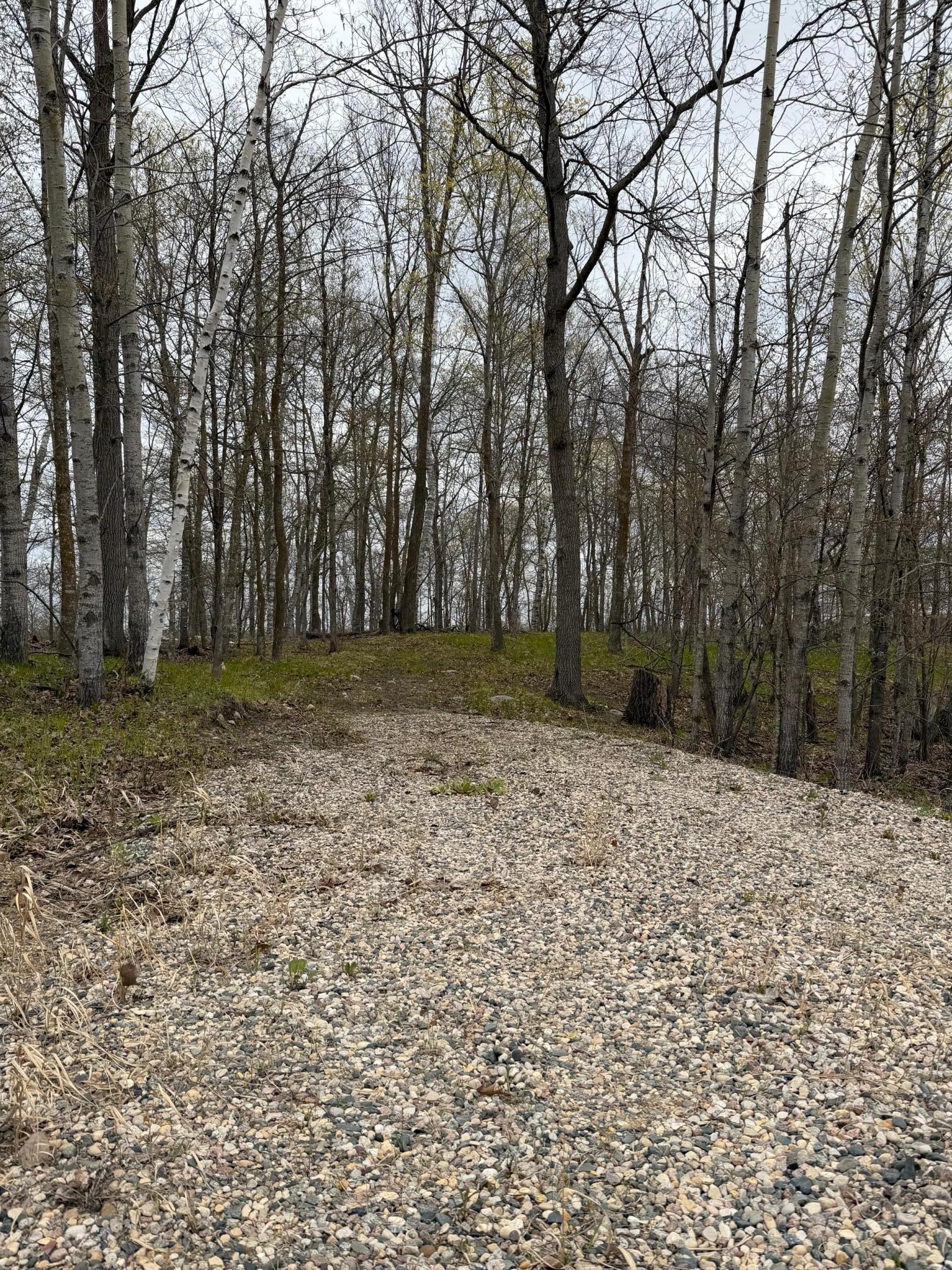 Lot 7 Southwest Pickerel Lake Road Detroit Lakes, MN 56501 - Photo 5 of 11
