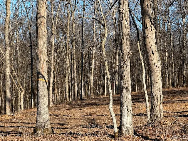 $525,000 | 2988 Scott Road, Moscow Mills, MO 63362