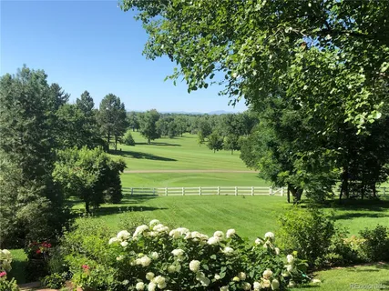 a view of a park with large trees