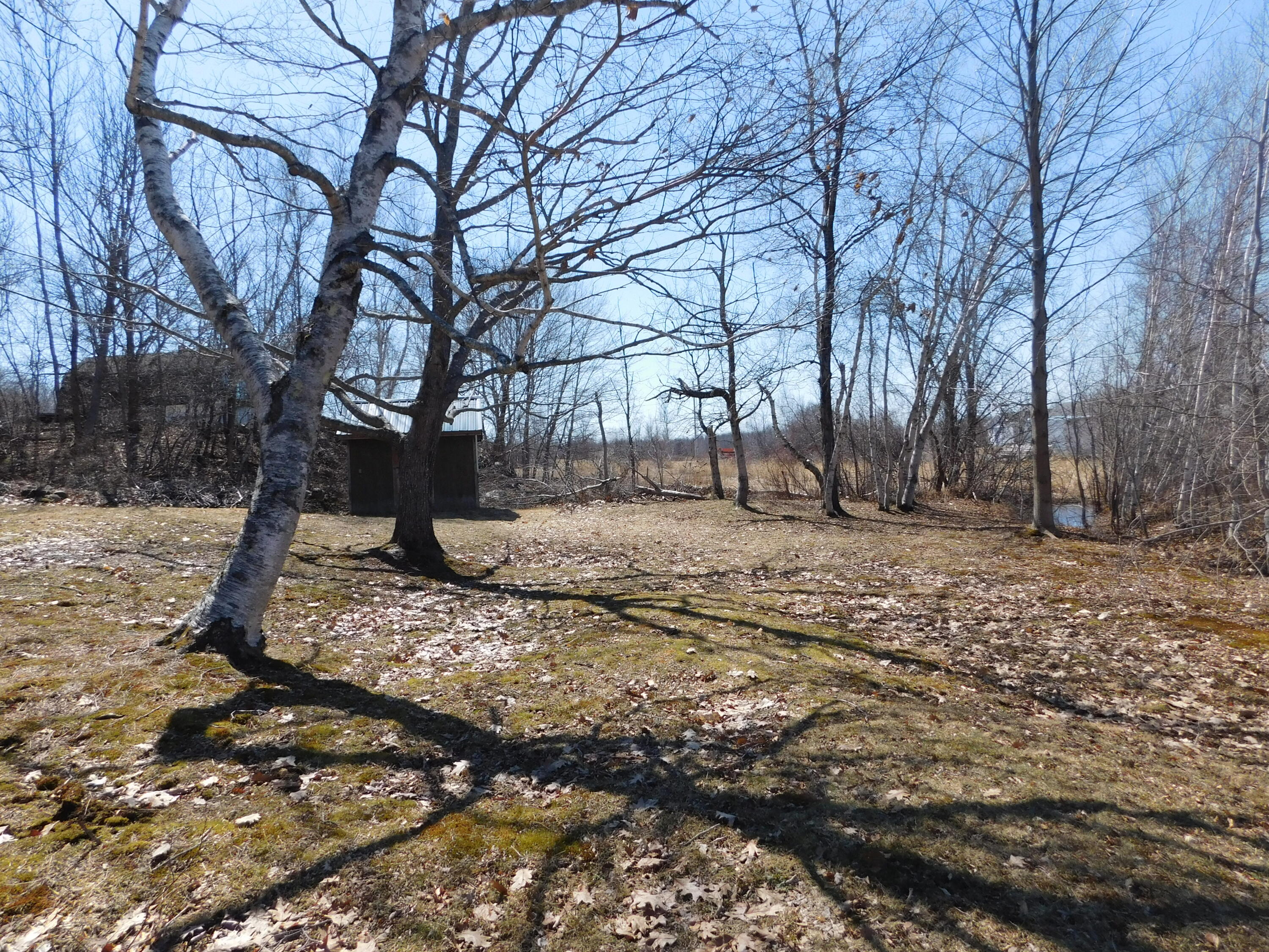 557 Enfield Road Lincoln, ME 04457 - Photo 20 of 112 DSCN0271