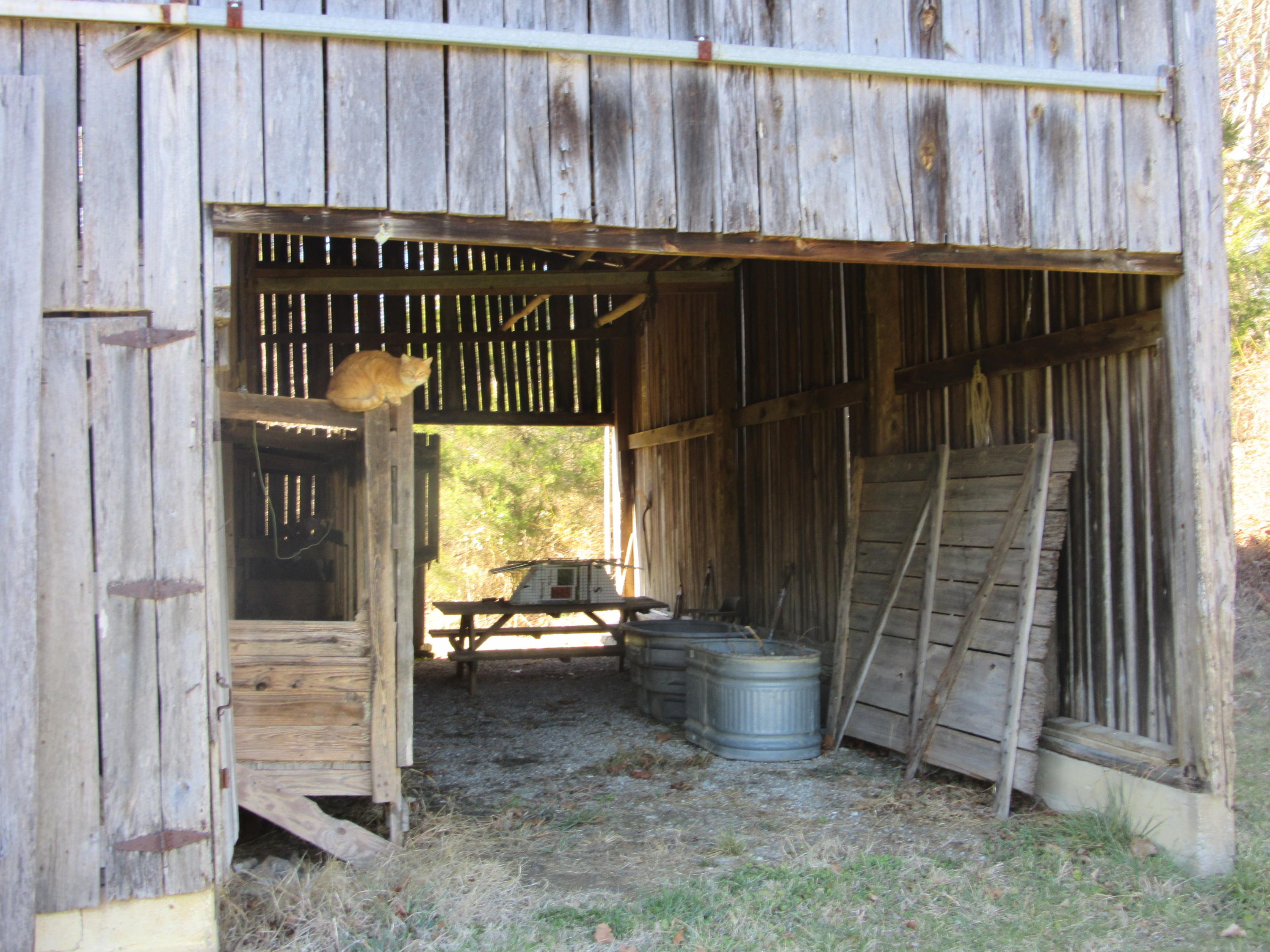 1038 Stanton Road Seymour, TN 37865 - Photo 15 of 22 IMG_2152