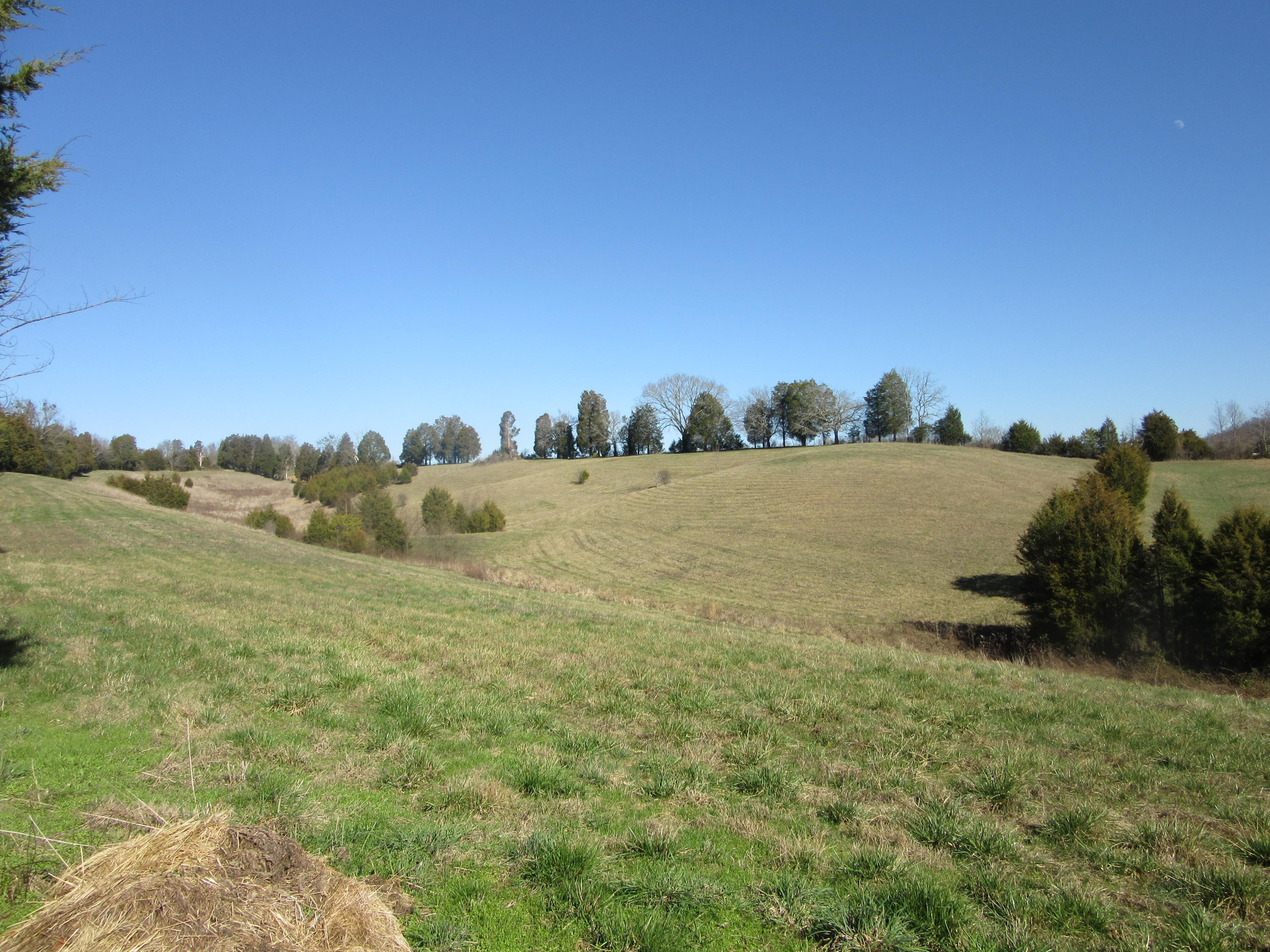 1038 Stanton Road Seymour, TN 37865 - Photo 19 of 22 IMG_2161
