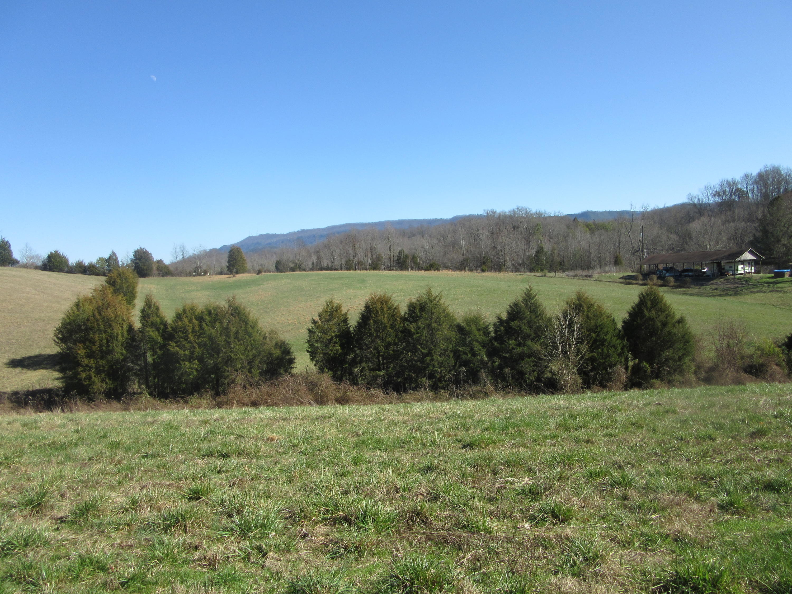 1038 Stanton Road Seymour, TN 37865 - Photo 20 of 22 IMG_2162