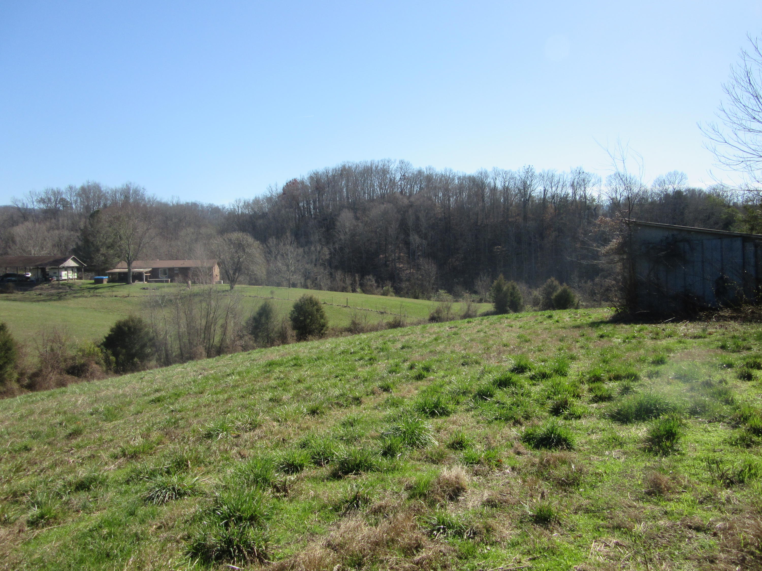 1038 Stanton Road Seymour, TN 37865 - Photo 21 of 22 IMG_2164