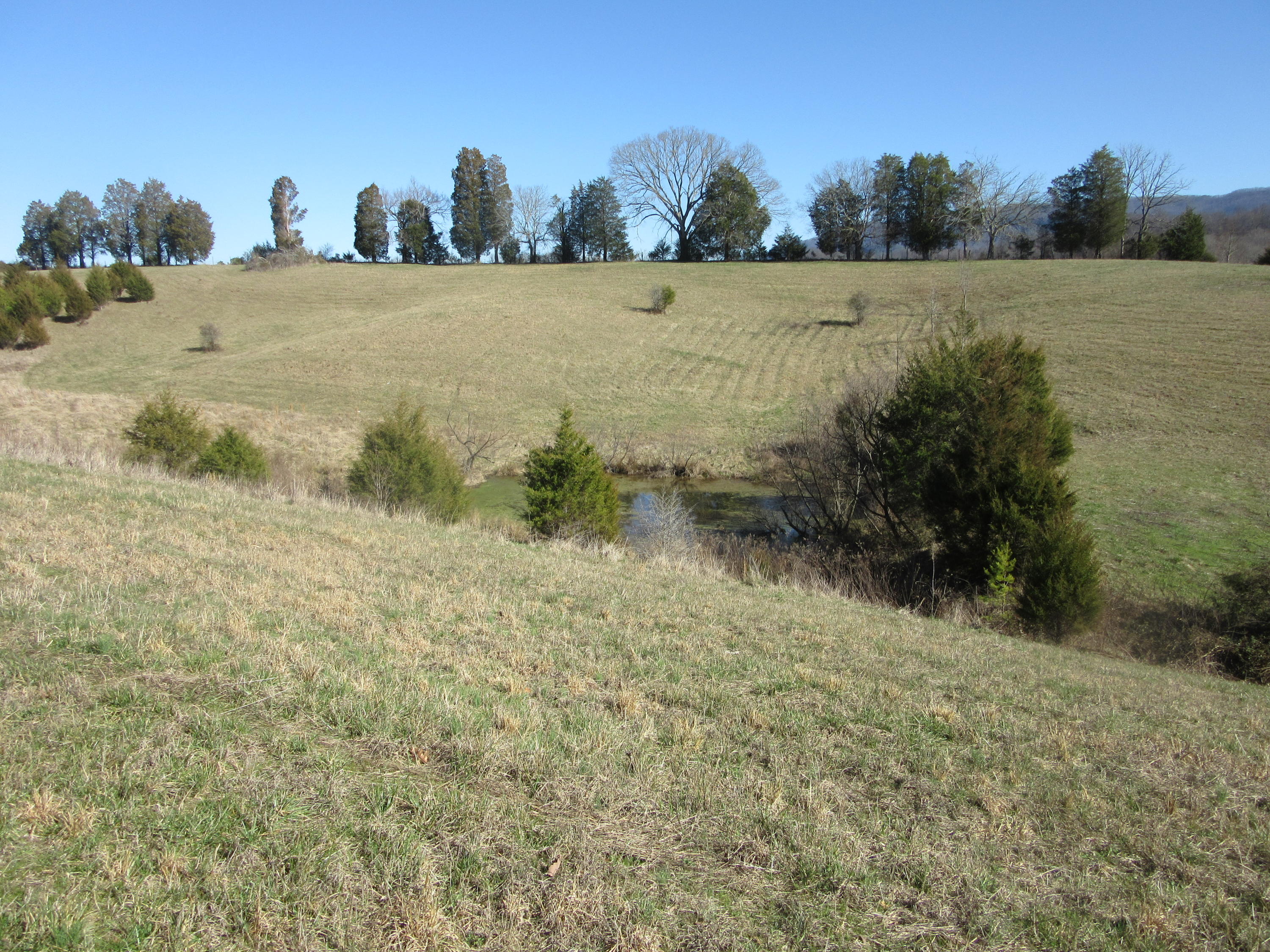 1038 Stanton Road Seymour, TN 37865 - Photo 22 of 22 IMG_2166