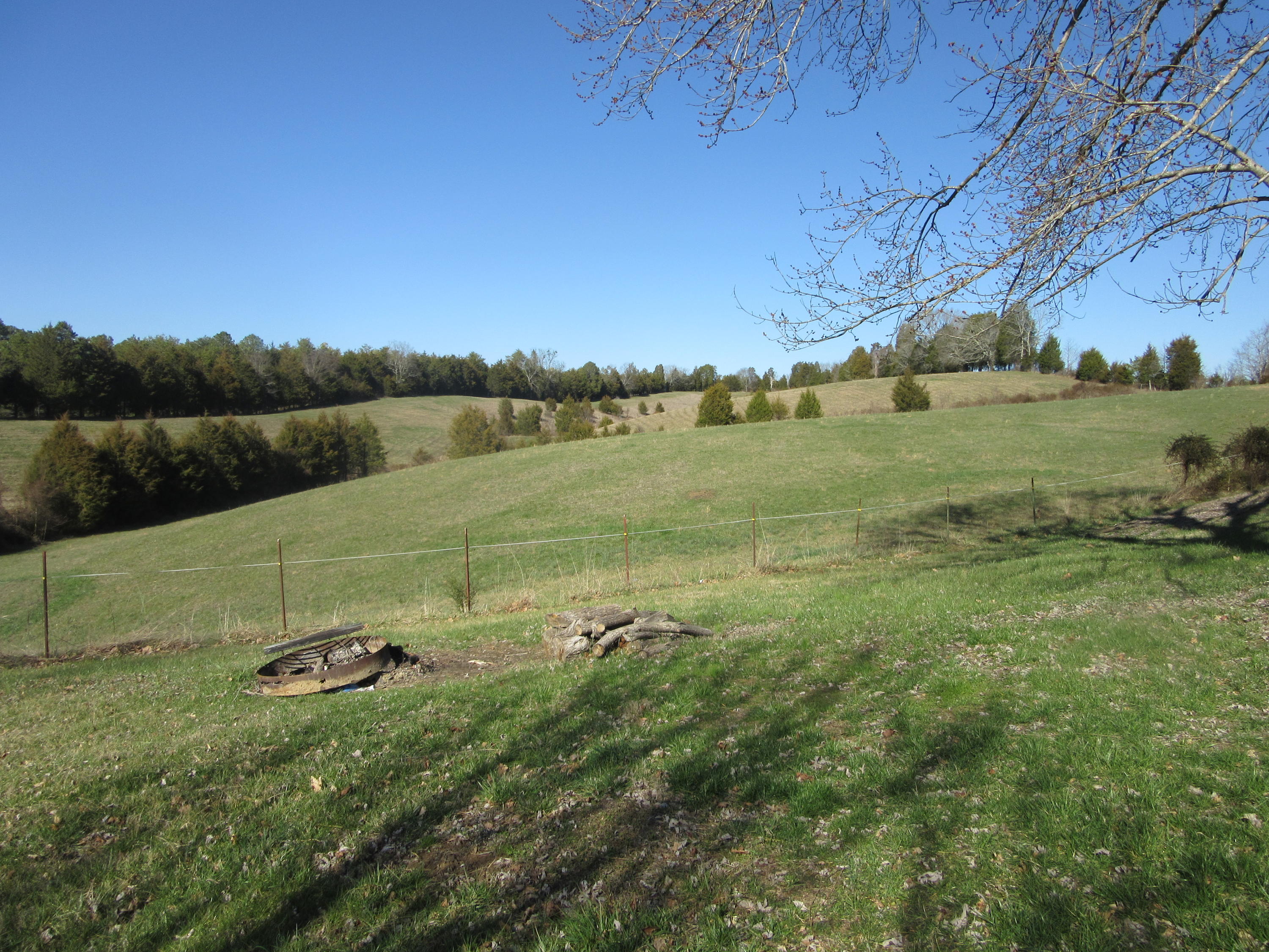 1038 Stanton Road Seymour, TN 37865 - Photo 8 of 22 Graceful land...