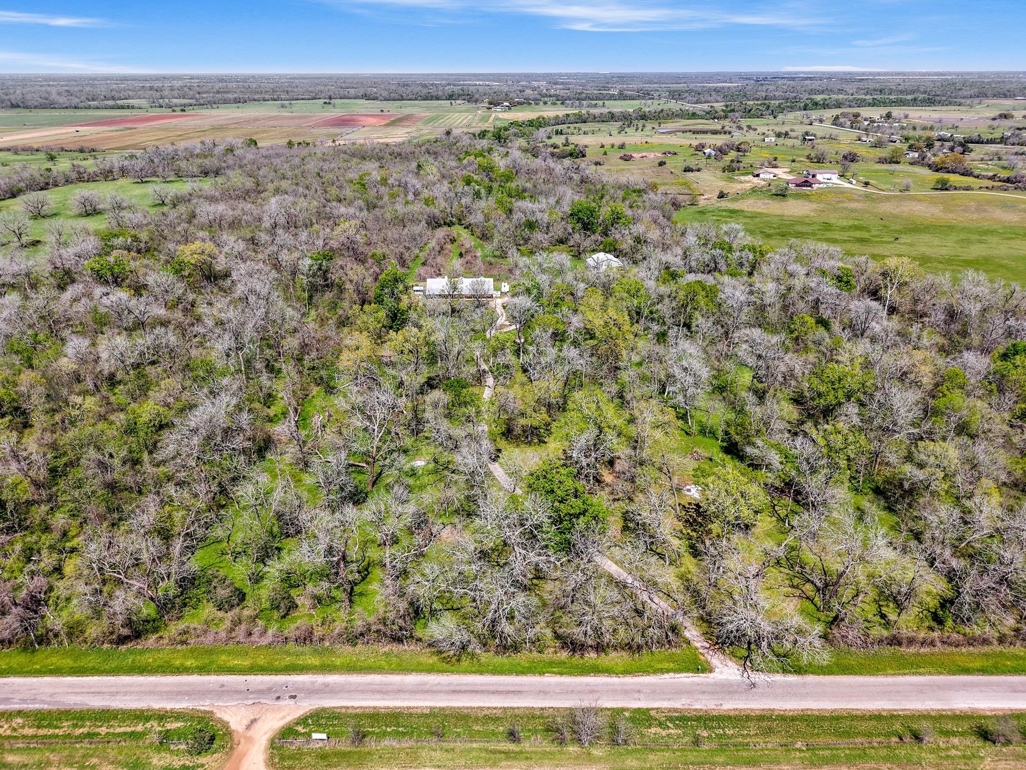 41712 Harpers Church Road Hempstead, TX 77445 - Photo 5 of 50 a view of a field with an ocean
