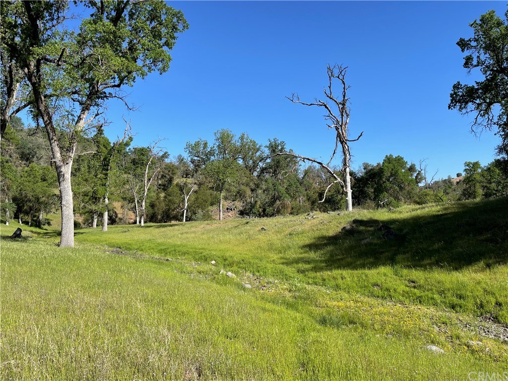 84 Ben Hur Road Mariposa, CA 95338 - Photo 1 of 1 Gallery Image 1