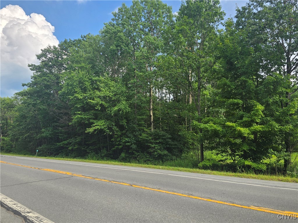 0 Rome-Taberg Road Taberg, NY 13471 - Photo 2 of 5