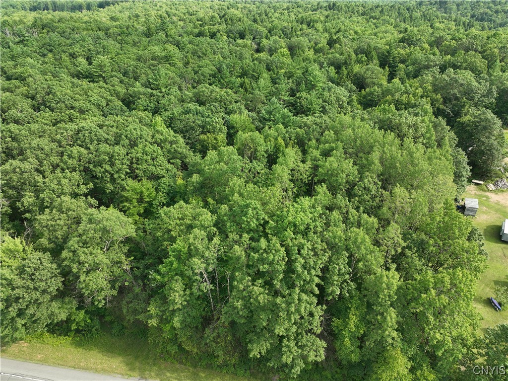 0 Rome-Taberg Road Taberg, NY 13471 - Photo 4 of 5