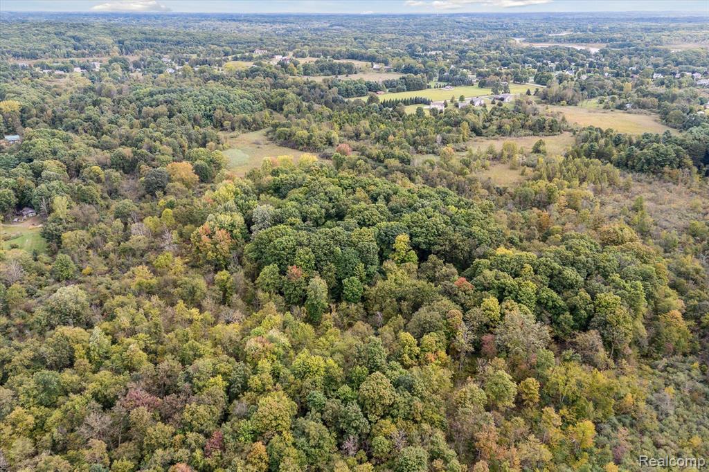 0 Swarthout Road Pinckney, MI 48169 - Photo 7 of 16