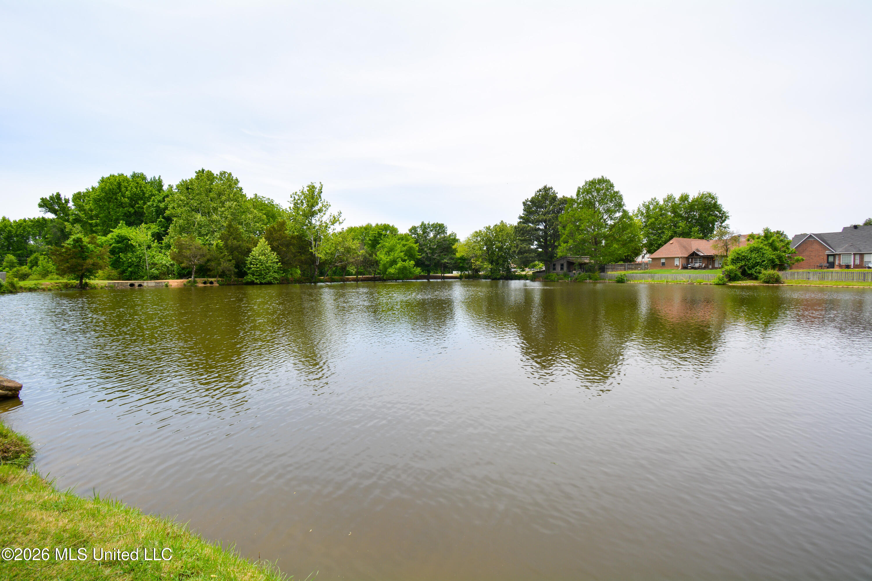 8939 Travis Drive Olive Branch, MS 38654 - Photo 27 of 30 DSC_0337