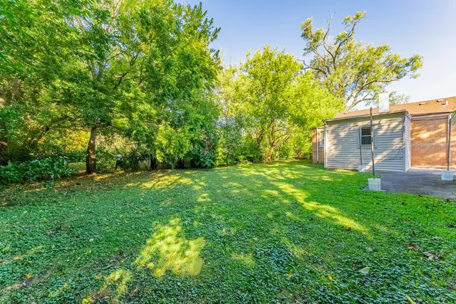 a backyard of a house with plants and large trees