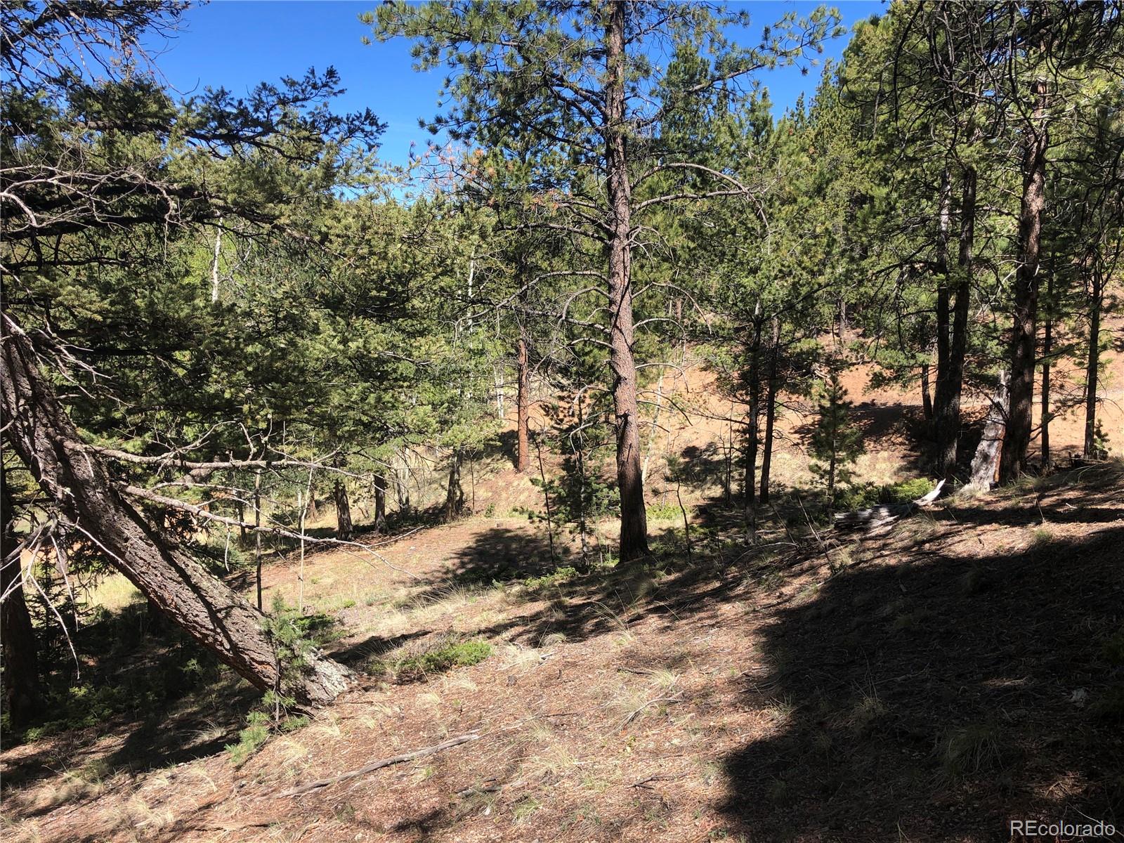 661 Homestead Road Divide, CO 80814 - Photo 3 of 6