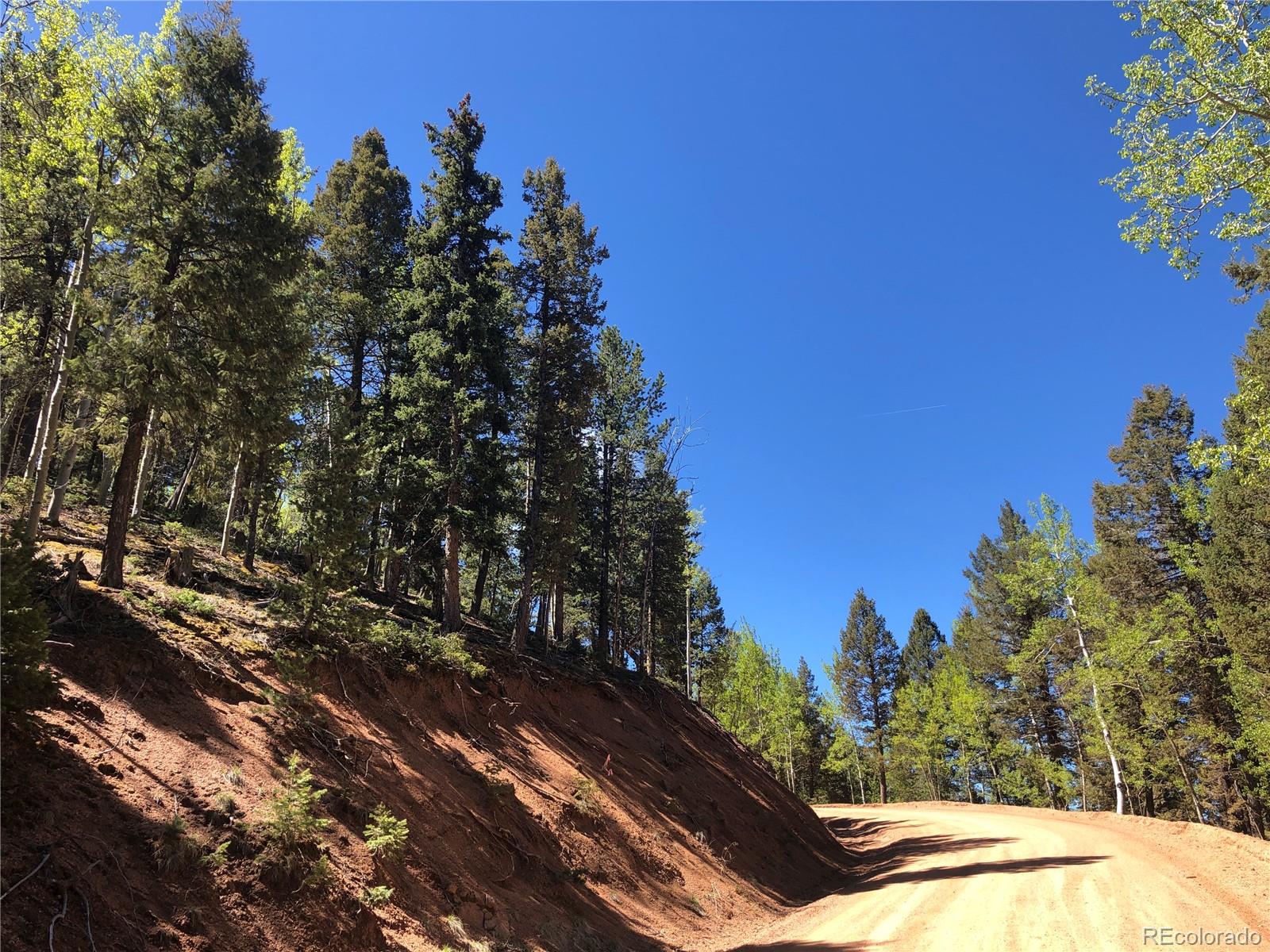 661 Homestead Road Divide, CO 80814 - Photo 6 of 6