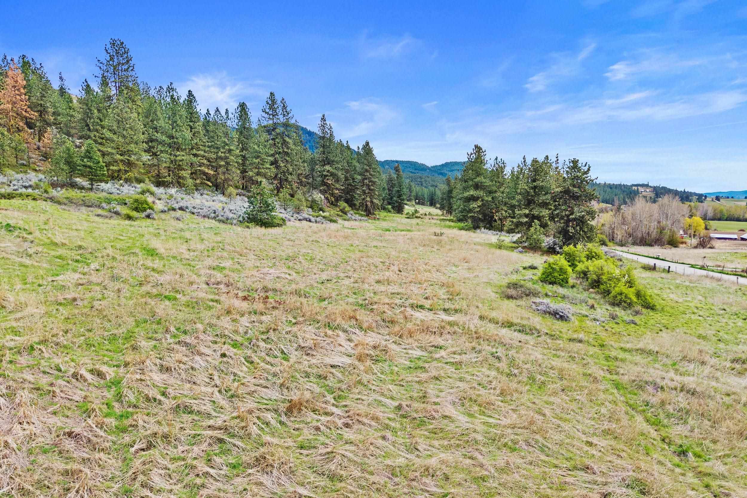 Nka Goddard Road Rice, WA 99167 - Photo 4 of 50