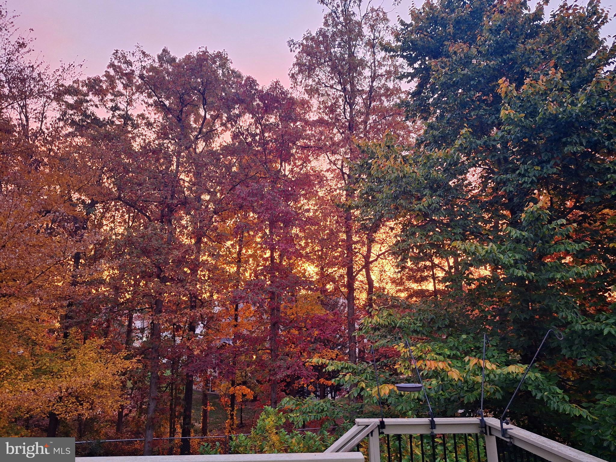 8109 Overton Court Springfield, VA 22153 - Photo 15 of 38 Beautiful sunset view from the deck in the Fall.