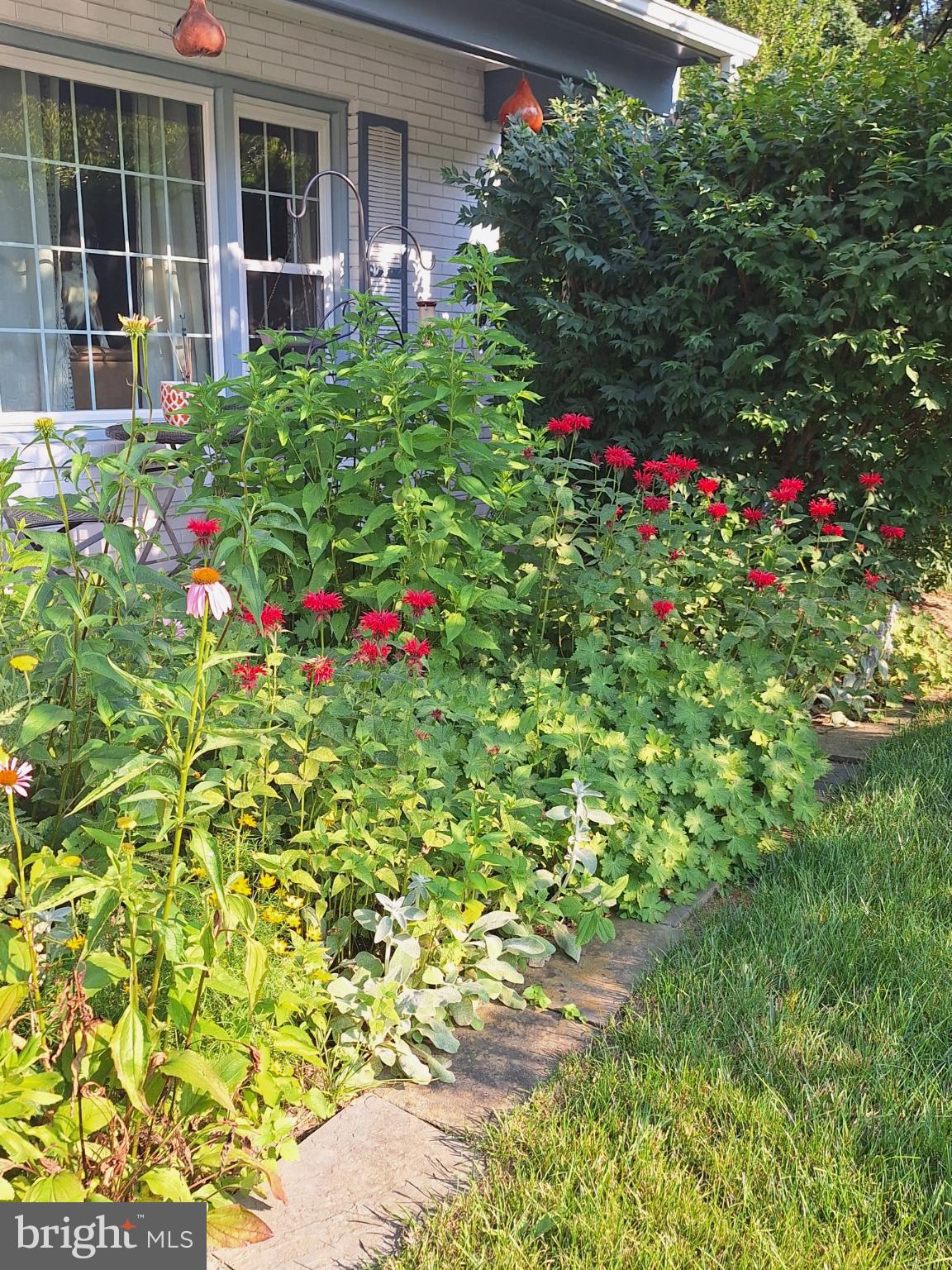 8109 Overton Court Springfield, VA 22153 - Photo 31 of 38 Vibrant blooms welcome you home come Spring!