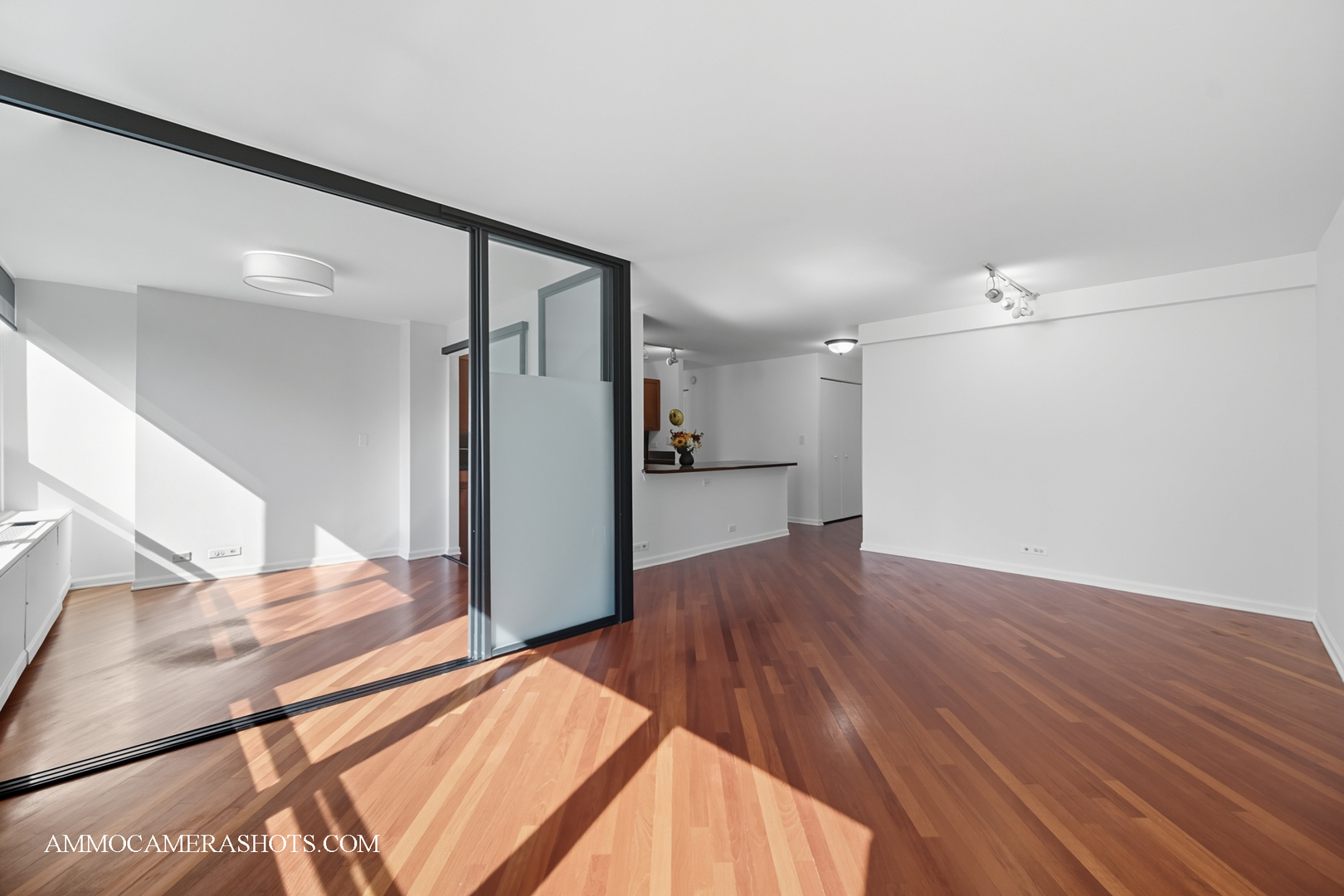 222 East Pearson Street, Unit 1406 Chicago, IL 60611 - Photo 15 of 30 a view of a big room with wooden floor and a kitchen