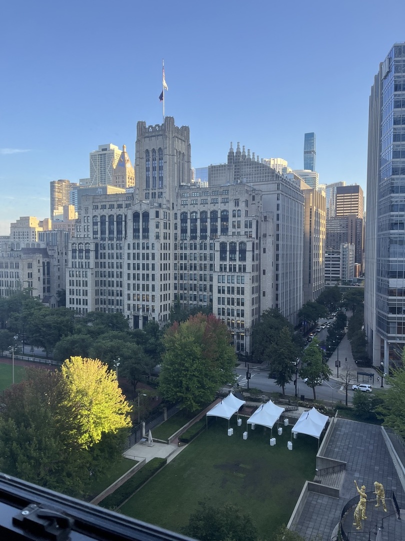 222 East Pearson Street, Unit 1406 Chicago, IL 60611 - Photo 3 of 30 a view of a city with tall buildings