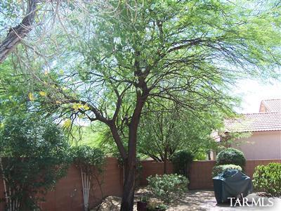 9158 East Dawn Post Road Tucson, AZ 85749 - Photo 5 of 15 Gallery Image 5