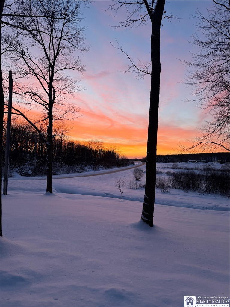 550 Eccles Road Kennedy, NY 14747 - Photo 28 of 31