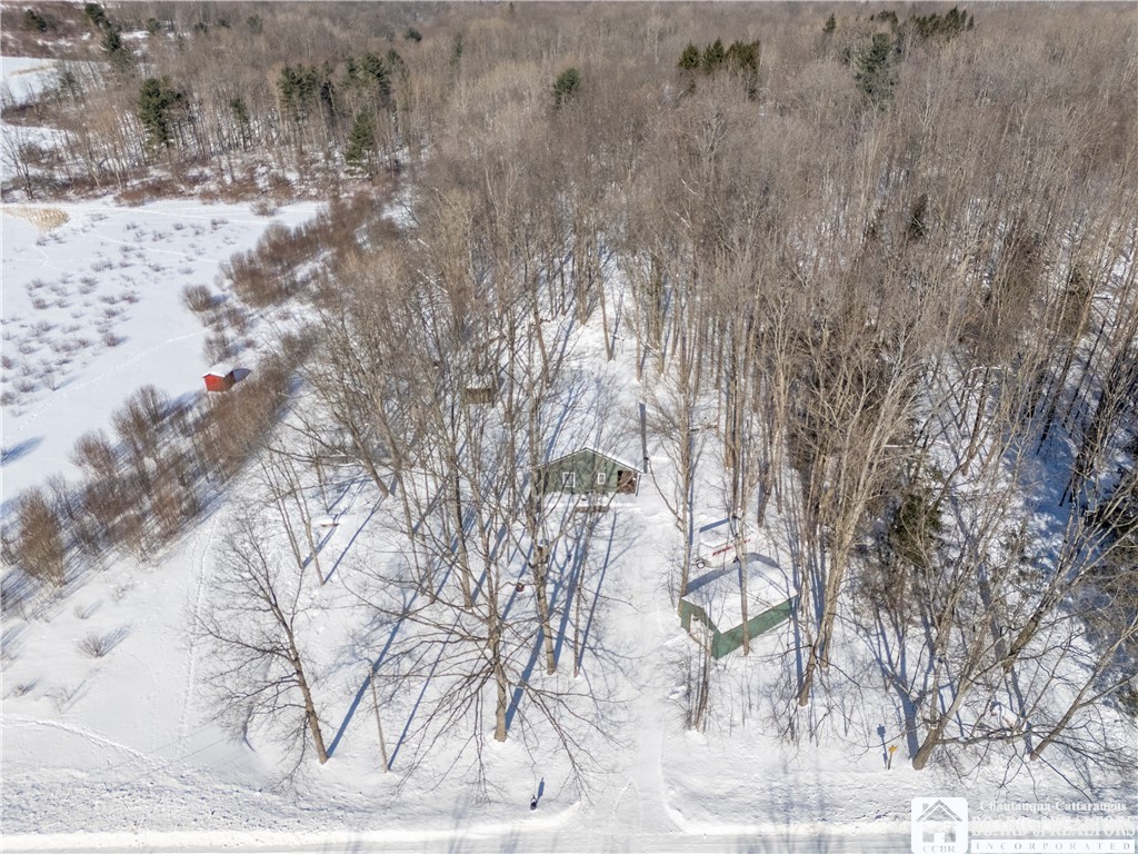 550 Eccles Road Kennedy, NY 14747 - Photo 7 of 31