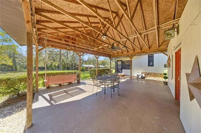 a view of a yard with plants and a large tree