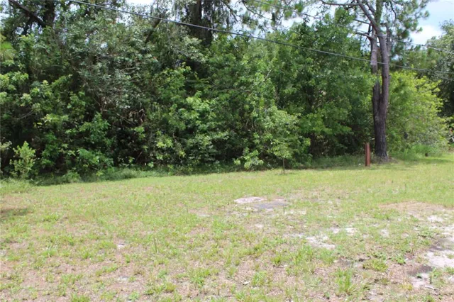 a view of a field with trees in the background