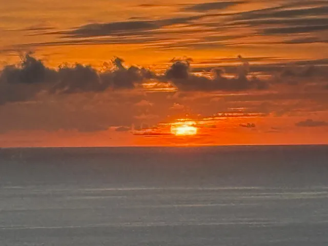a view of a garden with a building in the background