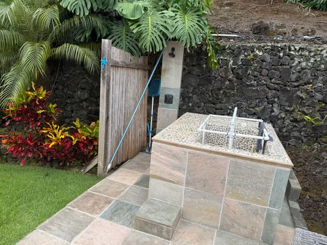 a view of a garden with plants