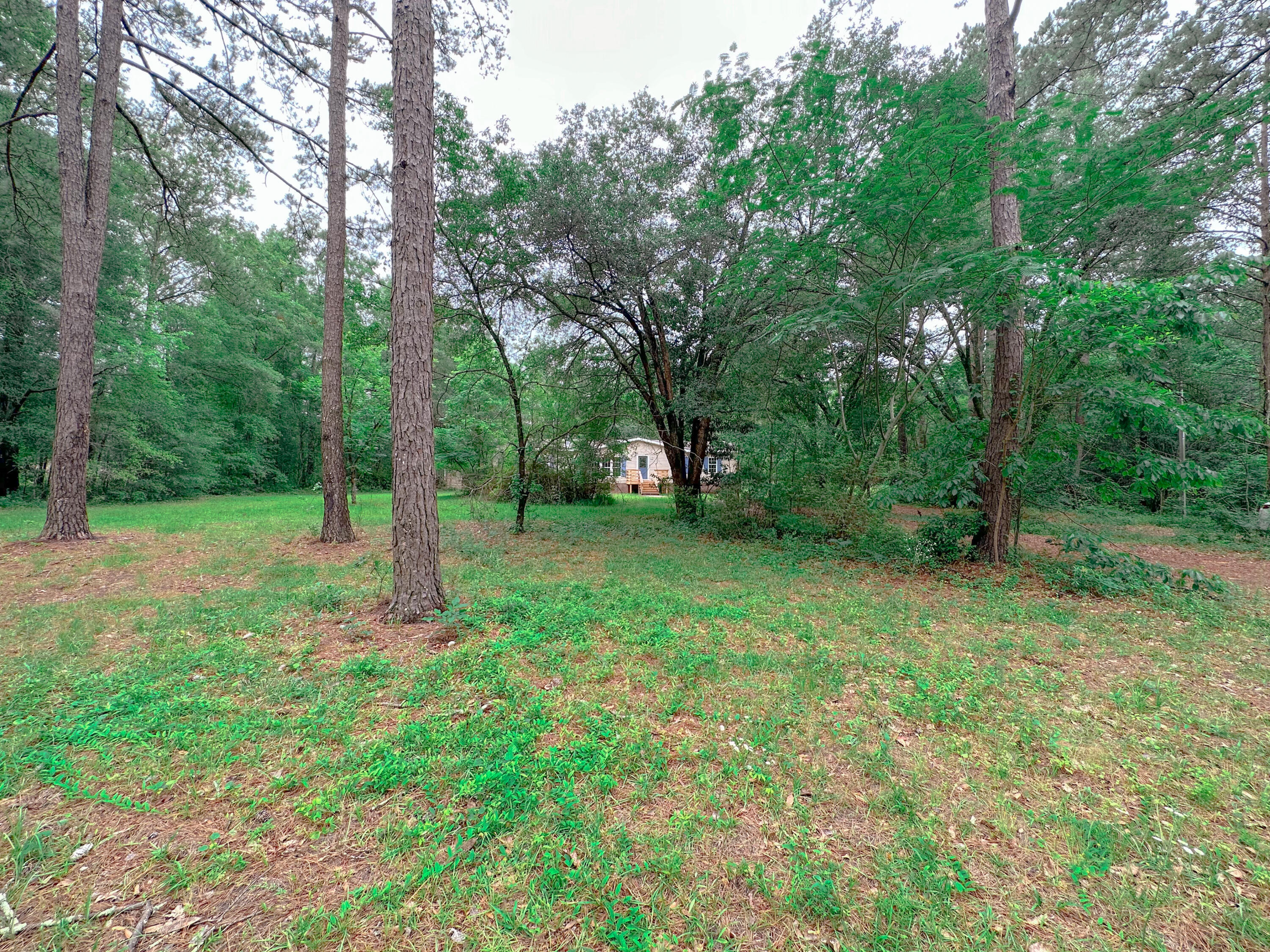 1745 Sandridge Road Dorchester, SC 29437 - Photo 2 of 59 38F07BCB-2F64-408A-89CA-36AB8FEBDB46