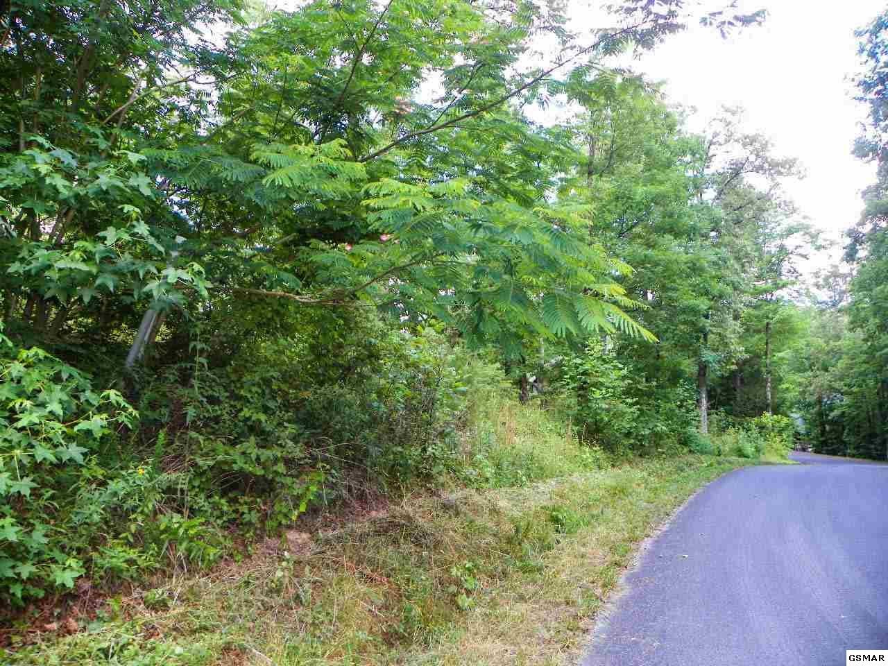12 Bogle Spring Loop Sevierville, TN 37862 - Photo 10 of 14 Gallery Image 10