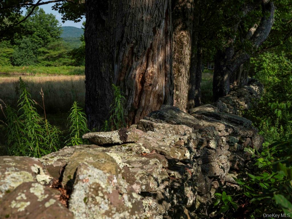 284 Ridge Road Hamden, NY 13782 - Photo 41 of 44 Beautiful old rock walls border the property